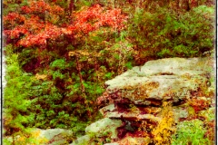 7-Babcock State Park