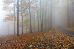 5-Babcock State Park