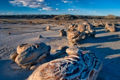Bisti-Badlands-NM-11