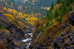 24-Yankee Boy Basin, CO