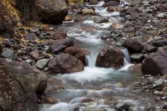 25-Yankee Boy Basin, CO