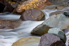 26-Yankee Boy Basin, CO