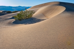 4-Mesquite Flat, Death Valley, CA