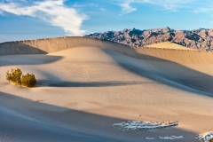5-Mesquite Flat, Death Valley, CA