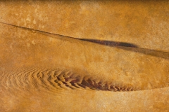 7-Mesquite Flat, Death Valley, CA