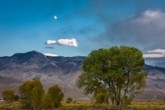 Eastern Sierra, CA-11