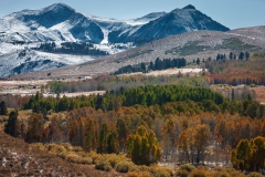Eastern Sierra, CA-12