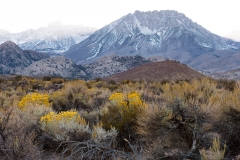 Eastern Sierra, CA-20