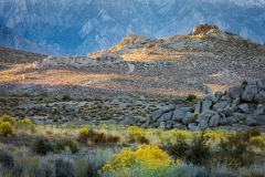 Eastern Sierra, CA-21