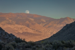 Eastern Sierra, CA-22
