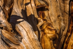 Eastern Sierra, CA-7