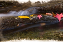 39-Greenbrier, Smoky Mountains