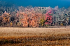 9-Cades Cove, Smoky Mountains
