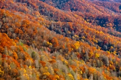 21-Foothills Parkway,  Smoky Mountains