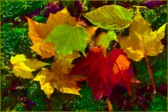 27-Oconaluftee Overlook, Smoky Mountains