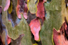 32-Little River Road, Smoky Mountains