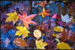 14-Cades Cove, Smoky Mountains