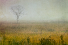6-Cades Cove, Smoky Mountains