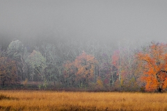 7-Cades Cove, Smoky Mountains