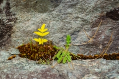 Beaufort Black Valley-Ireland-2
