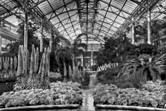 7-Longwood Gardens, PA