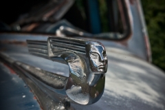 10-Car Farm, Palouse, WA