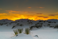 3-White-Sands-National-Monument-NM_1