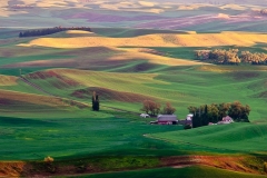2-Steptoe Butte, Palouse
