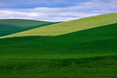 1-Palouse