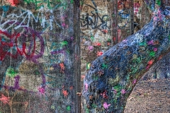 5-South Street Graffiti Bridge, PA