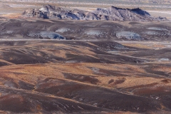 Petrified Forest-2, AZ