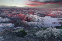Petrified Forest-5, AZ