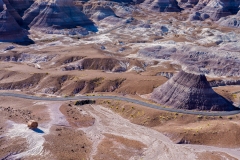 Petrified Forest-3, AZ