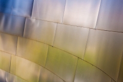 11-Walt Disney Concert Hall