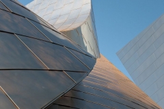 4-Walt Disney Concert Hall