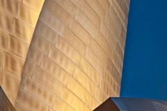 10-Walt Disney Concert Hall