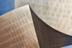 13-Walt Disney Concert Hall